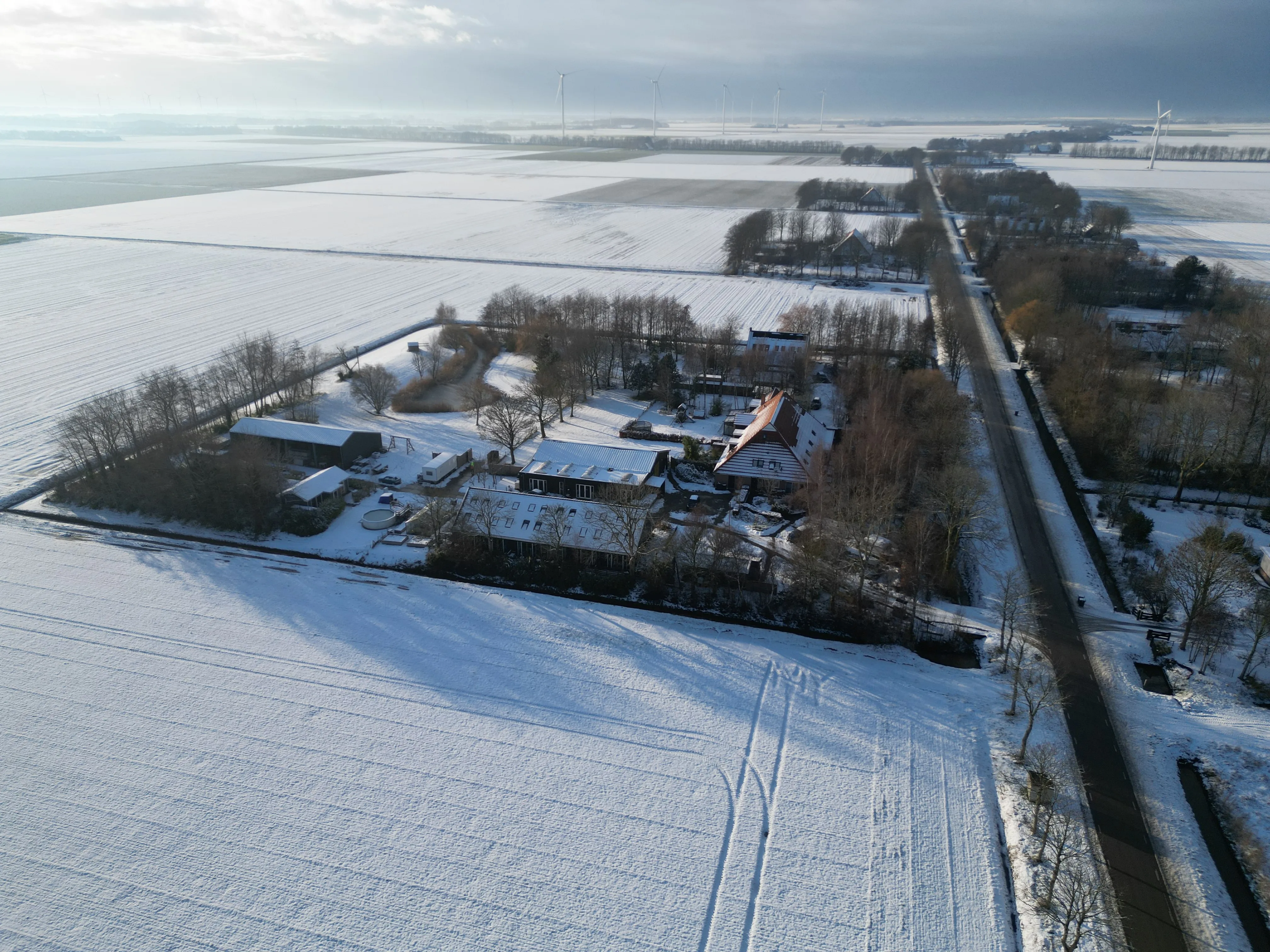 A description of my image.